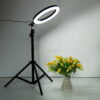 26cm Ring Light With Phone Holder & 3 Shades Of Colour For Videos Photography Studio & Lightining